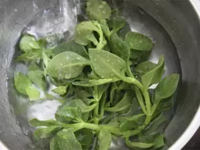 余庆野菜,余庆好吃的推荐