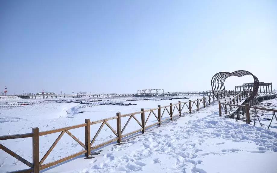 下雪后的海边图片大全,六月份的红海滩