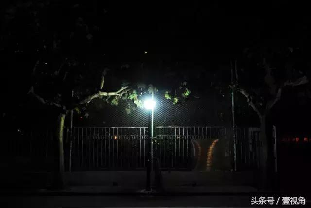 石家庄哪的公园樱花开了,石家庄樱花现在还有吗