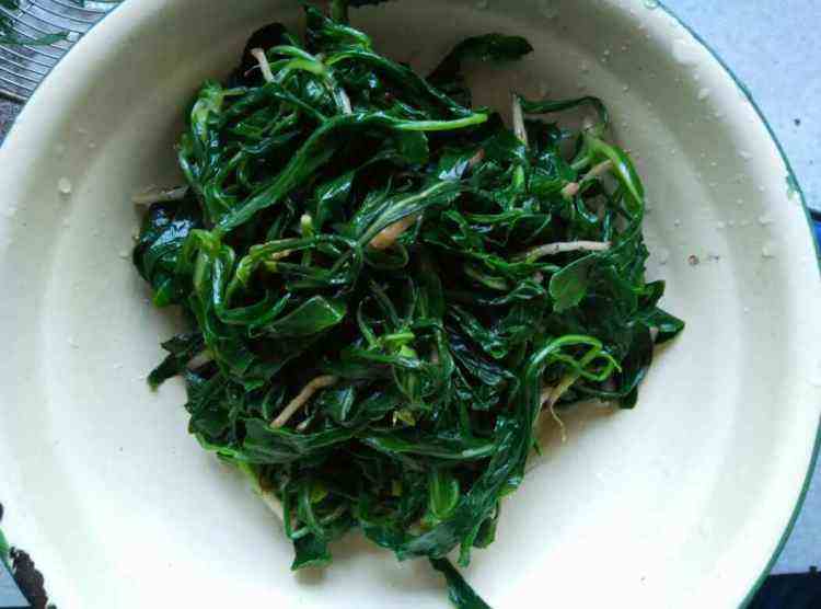 平时地里的野菜有能降血压的没有,高血压多吃野菜能降血压和糖吗