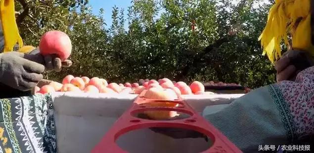 生鲜次品如何销售,次品怎么在淘宝网上卖