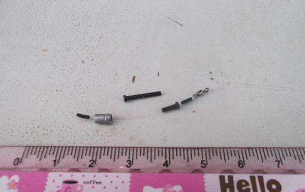 为什么鲤鱼一直跳也钓不上来,鲤鱼只吃窝料不吃钩的原因