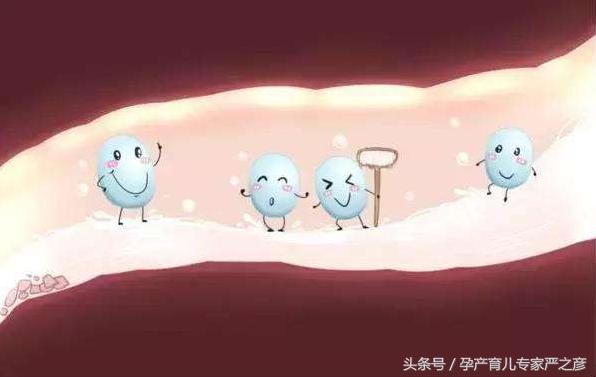 什么样的益生菌会治拉肚子,拉肚子湿疹