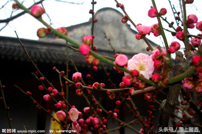 怡人的风景美景,湖南怡人园林