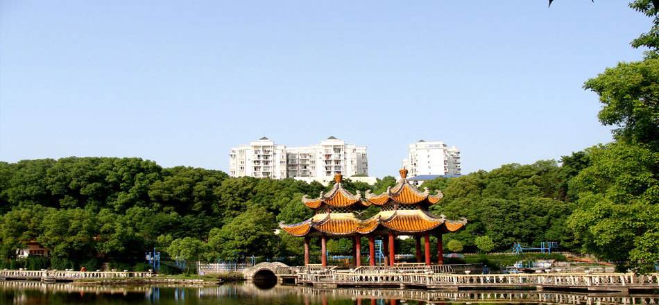 对宜昌的感受,在宜昌生活是什么样的