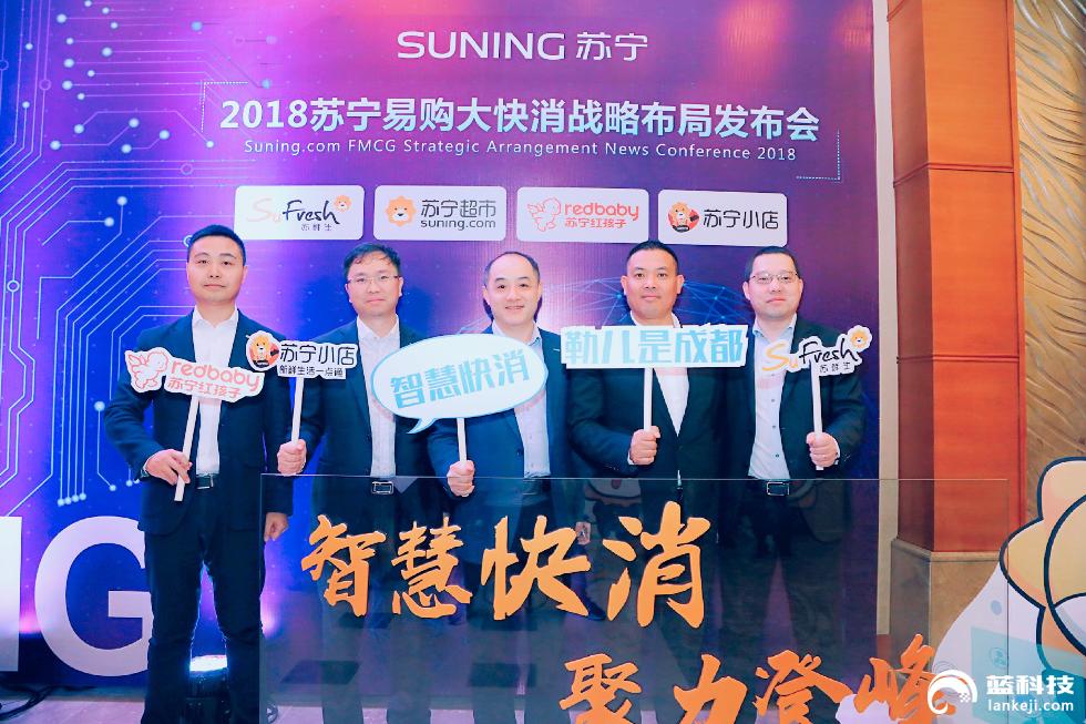 苏宁易购企业的劣势,苏宁零售业发展