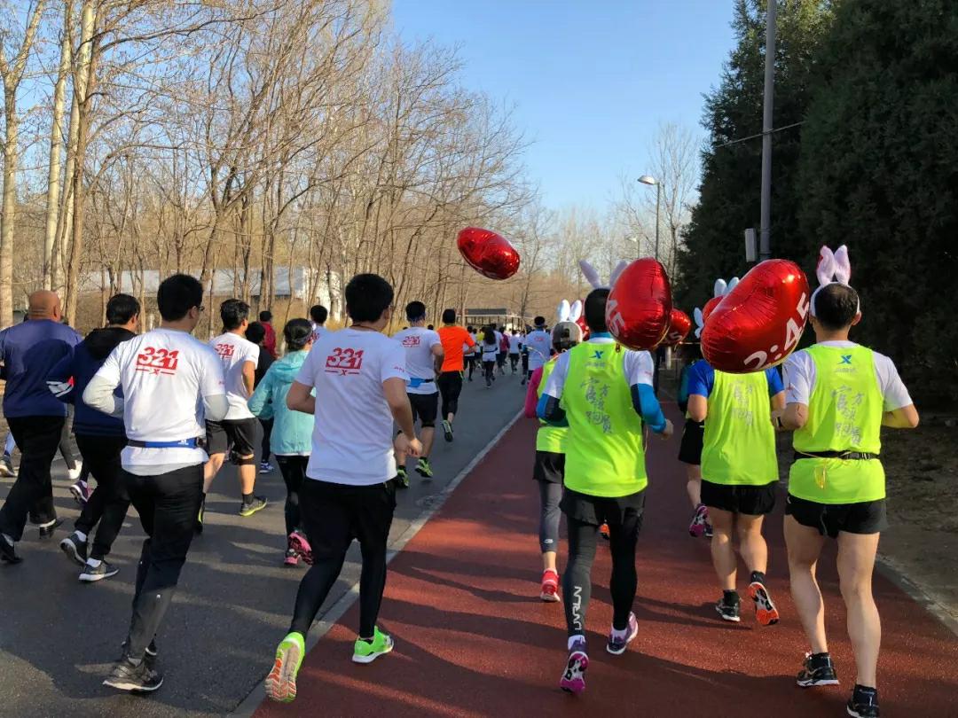 马拉松跑友运动营养,六星马拉松跑友赛