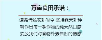 京郊7月采摘好去处,江宁农场采摘一日游