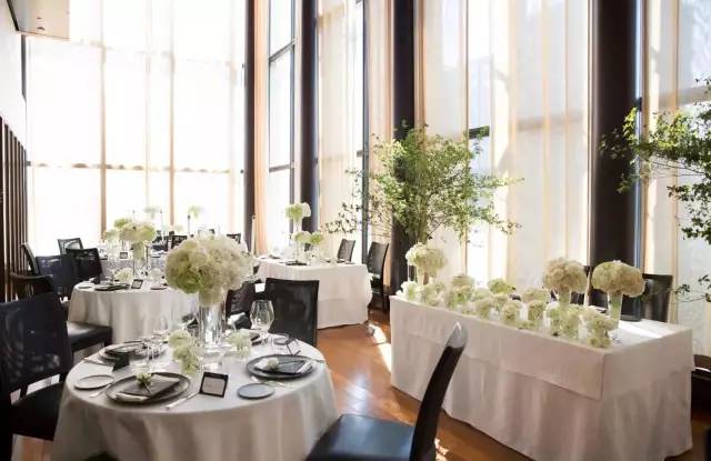 东京两日游赏樱花攻略,去东京赏樱花