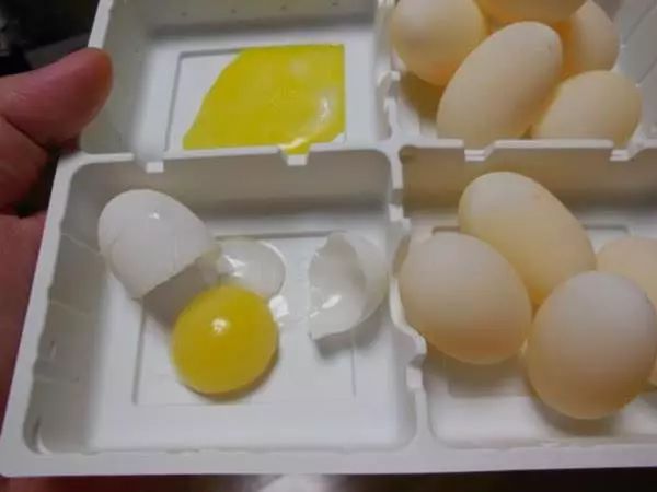 宠物龟下蛋,宠物龟怎么避免吃自己的蛋