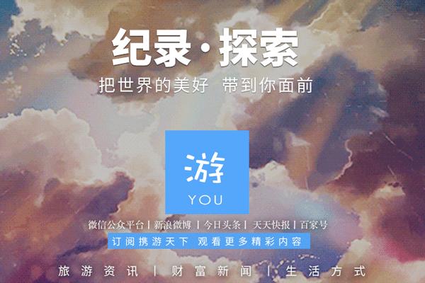 世界杯决赛潘帕斯雄鹰高卢,格子军团vs潘帕斯雄鹰复仇之刃