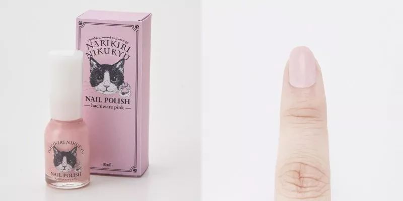 放开我的钱包啊！令猫奴闻风丧胆的种草大会！