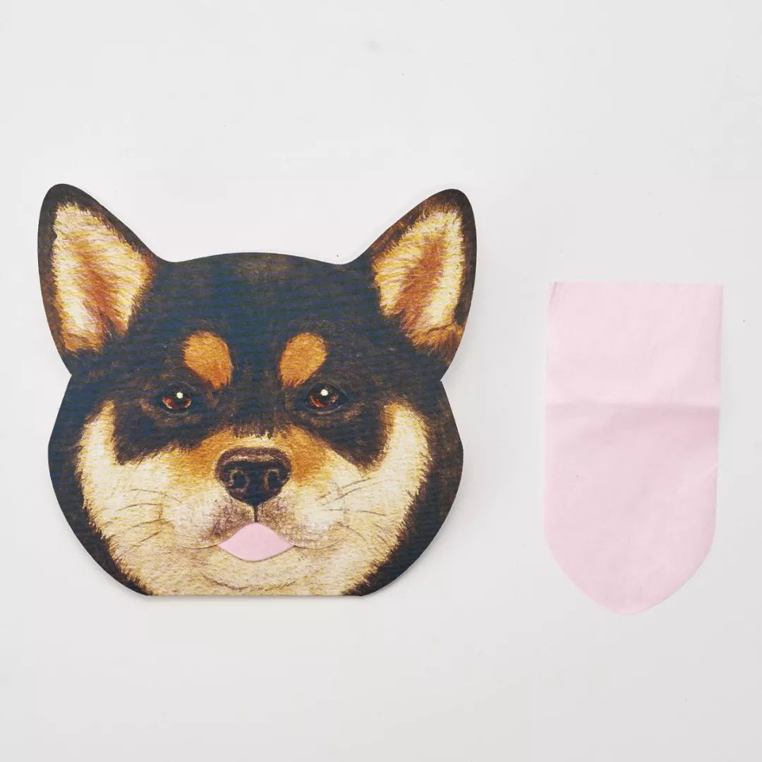 放开我的钱包啊！令猫奴闻风丧胆的种草大会！