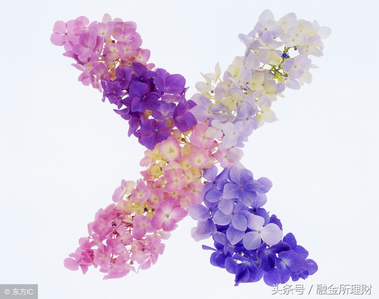 身份证最后一位数字注定有多少财富！准！