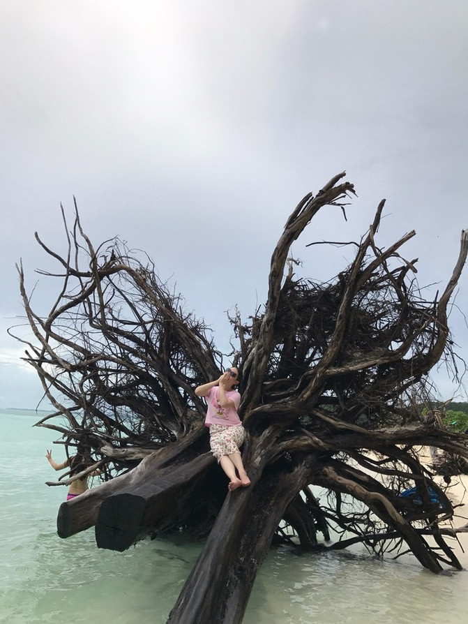 太平洋上的美丽岛屿,太平洋绝美海岛