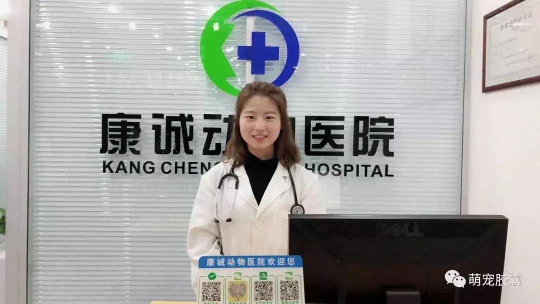 【V-story】做一名宠物医师是种怎样的体验?(上)