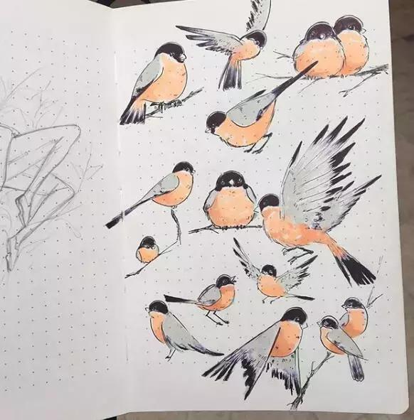 日本小姐姐画画素描,日本小姐姐一组插画