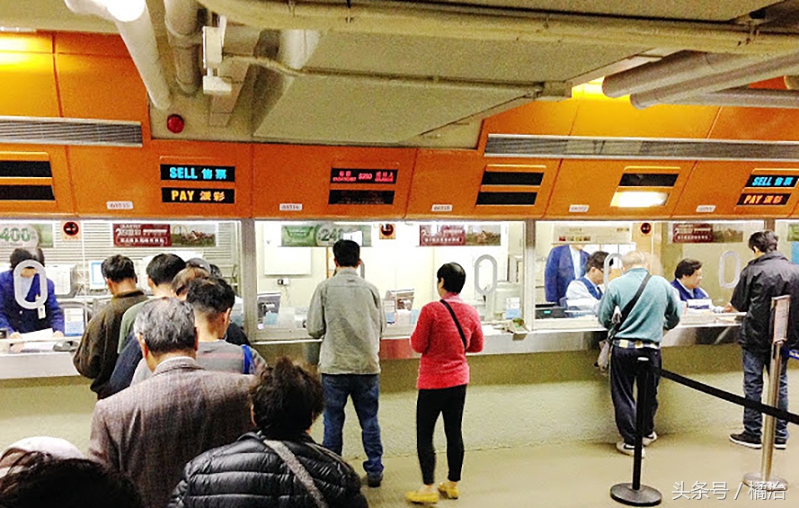 去香港赛马场，买张马票看马儿热血冲刺，超酷！（内含详细攻略）