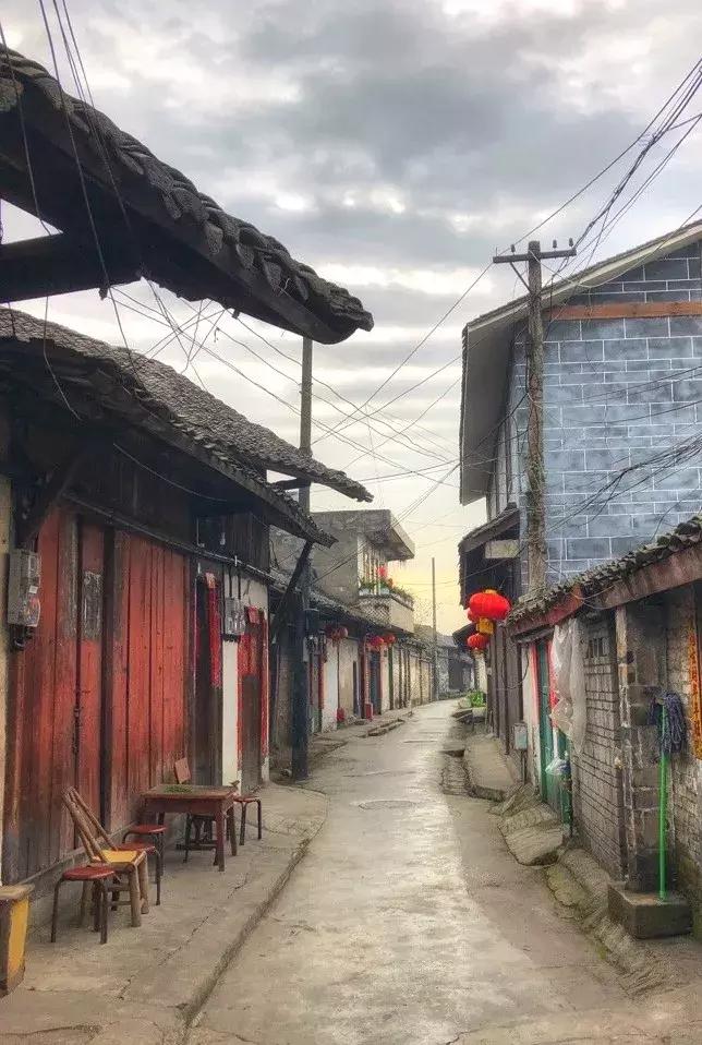 再上5天班，就放小长假！四川哪里*光春**诱人？靠谱实测甩给你