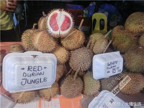 悠哉的沙巴行空气清新重要的是接机仅需1元