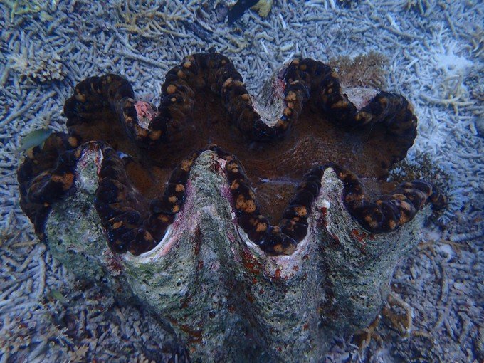 宝贝喜欢小金鱼,宝贝喜欢玩水