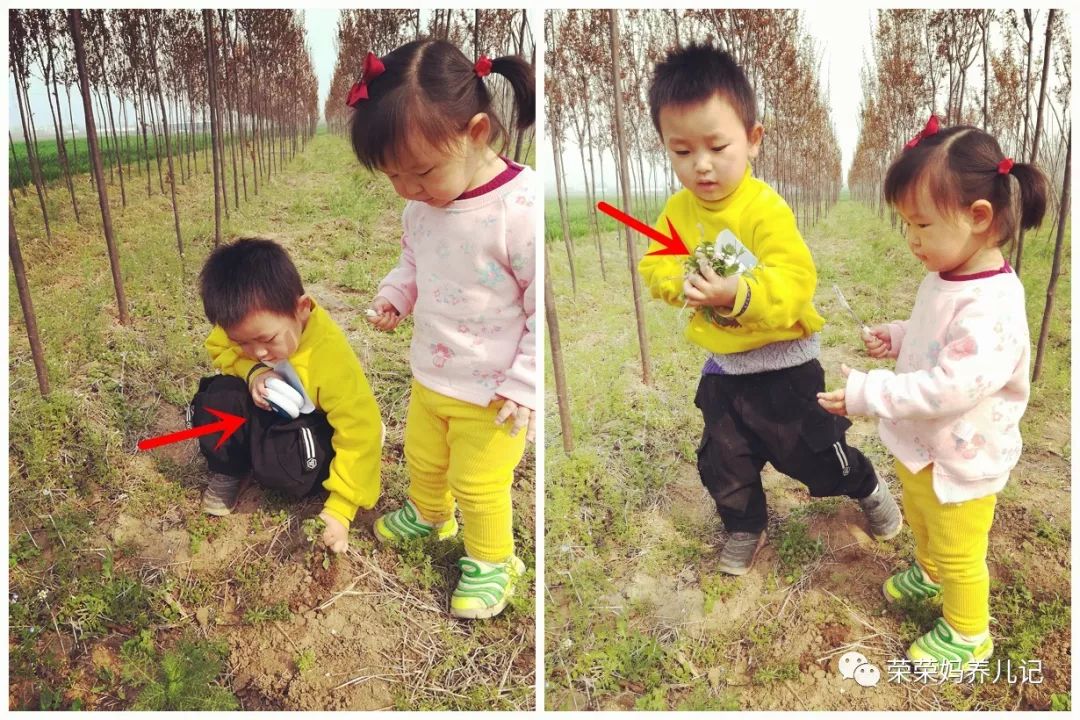 春暖花开别人出去春游,春暖花开溜娃的好地方