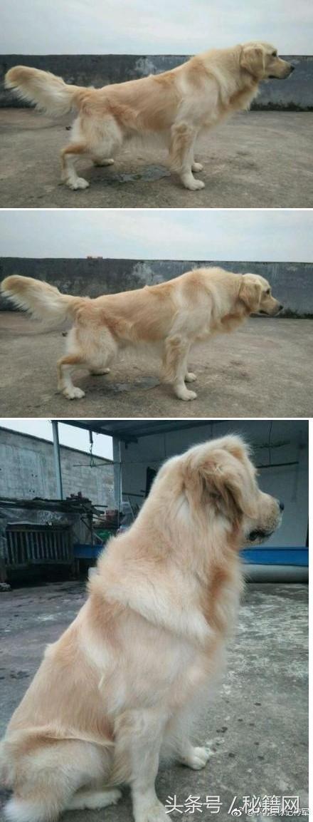 搞笑gif图姑娘你确定不是来搞笑的,搞笑gif图发现一只蠢萌的妹子