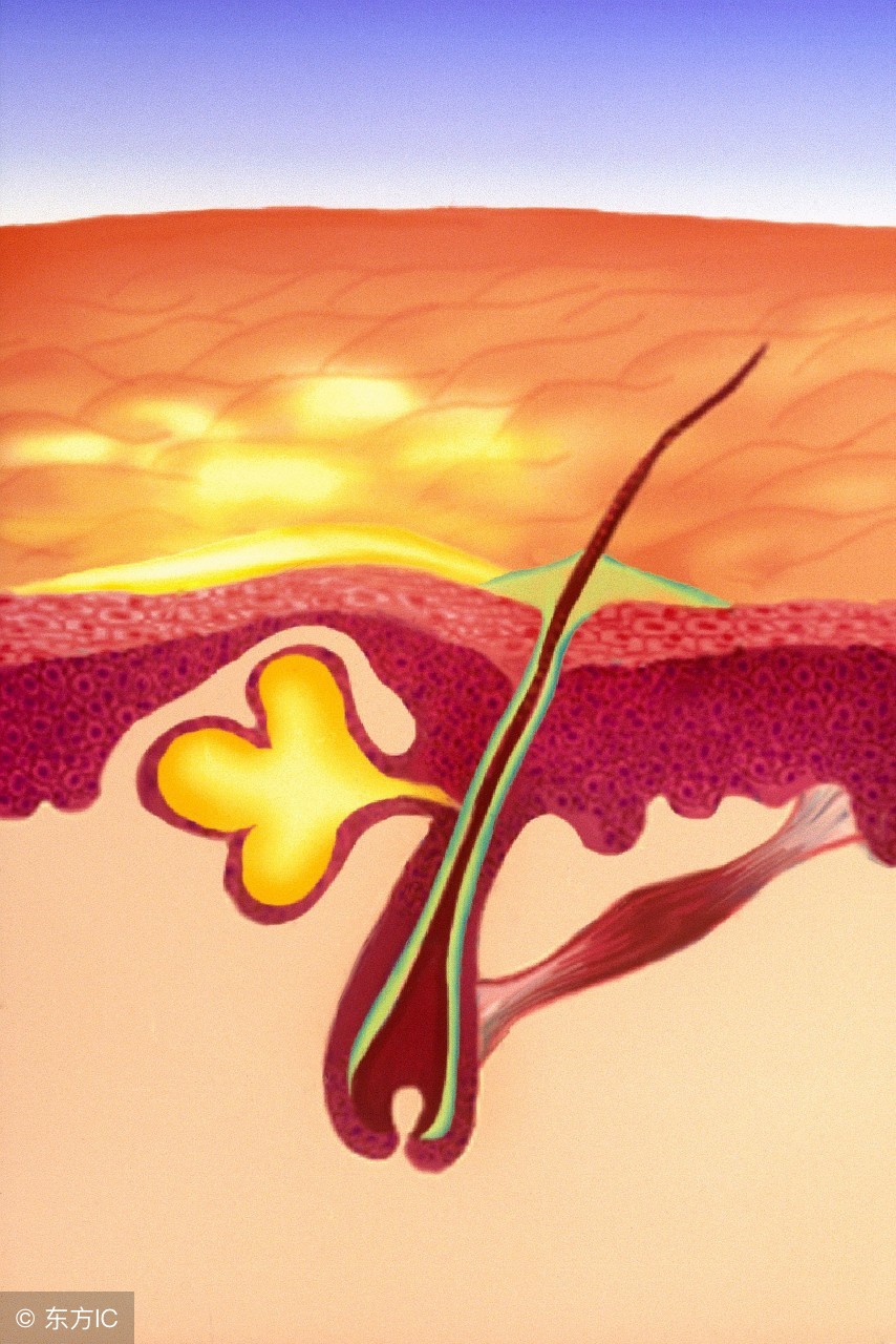 一般的硫磺皂可以洁面吗,硫磺洗脸皂和普通的硫磺皂区别