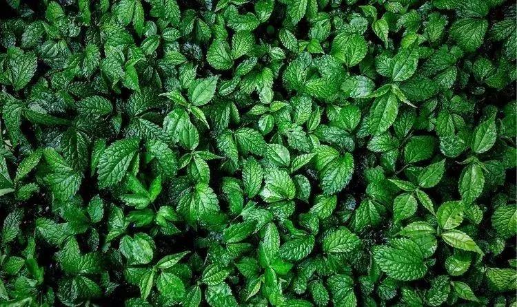 媲美九寨沟的碧湖潭，被誉为萍乡小三峡，是不可错过的世外仙境