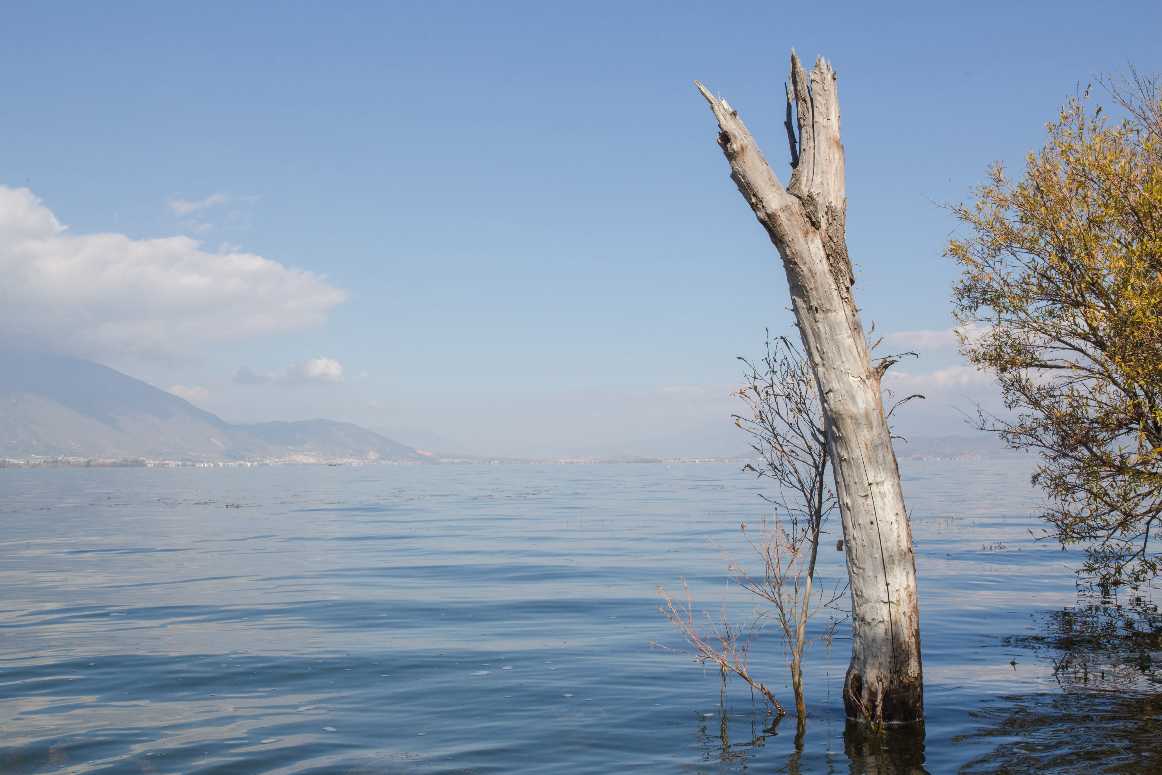 洱海边的特别拍照地,洱海的文艺地