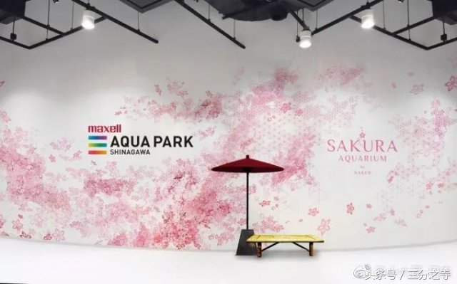 2018最美樱花限定来袭,都是圈钱的祖宗啊