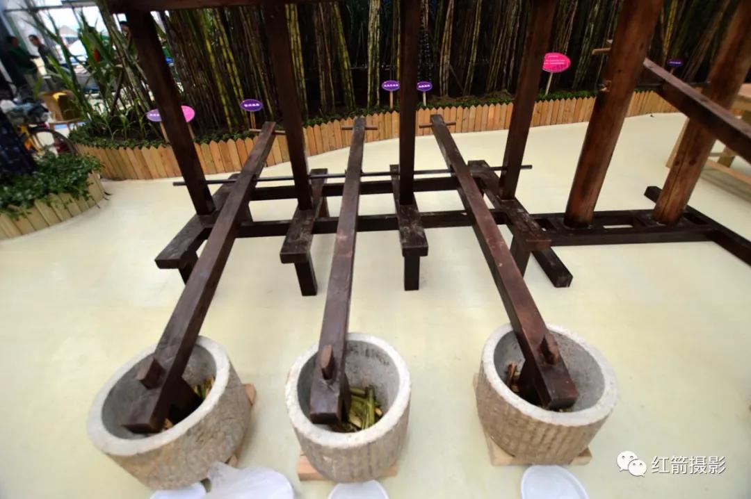 农业嘉年华北京,北京农业嘉年华延期