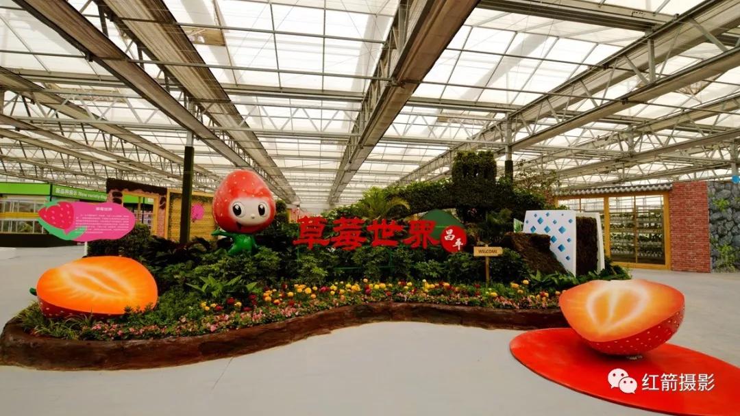 农业嘉年华北京,北京农业嘉年华延期