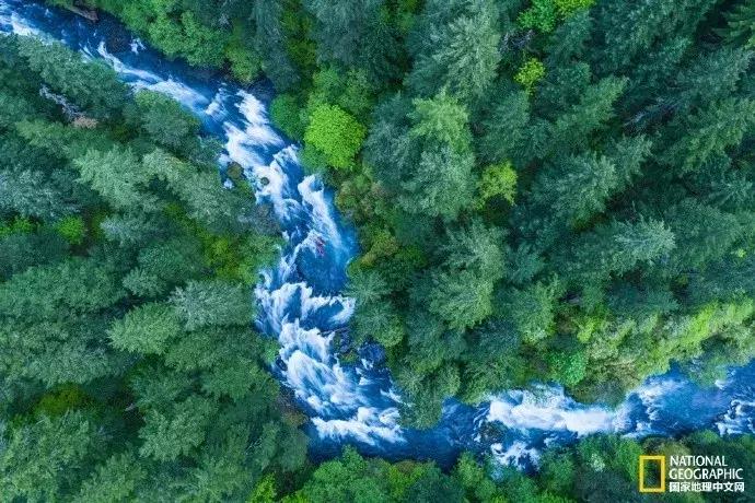 春天的小手儿热情呼唤，这14个好地方等你去浪！