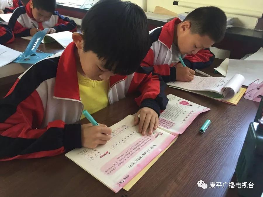 康平县的学校,康平县学校