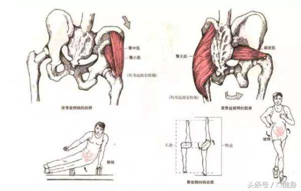 kiki健身身材,kiki健身腿部肌肉