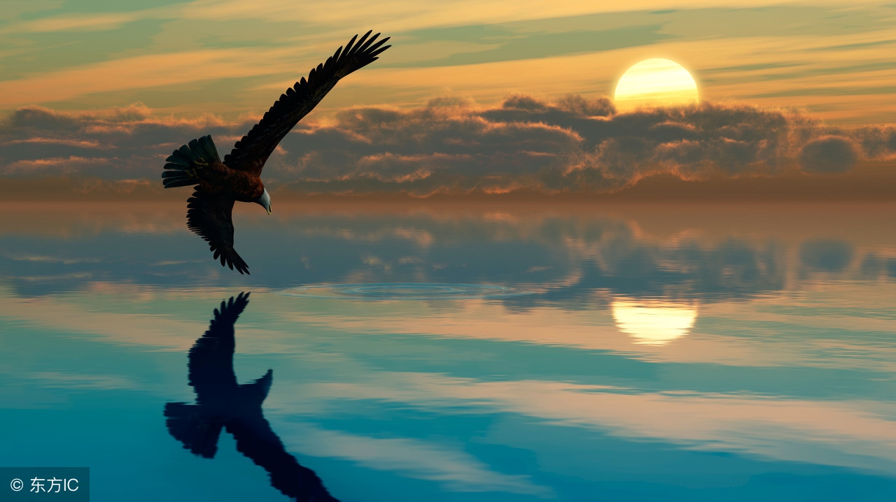 台钓竿鲢鳙竿,台钓竿溪流竿