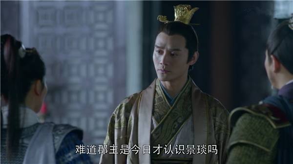 琅琊榜梅长苏蔺晨争辩,琅琊榜梅长苏死后蔺晨的一个决定