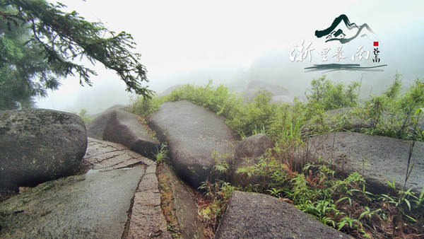 美丽苍南,美丽浙江温州瑞安