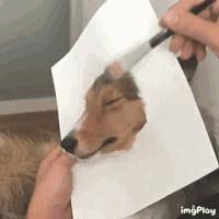 绘画中的一切都是假的,创意绘画是不是骗人的