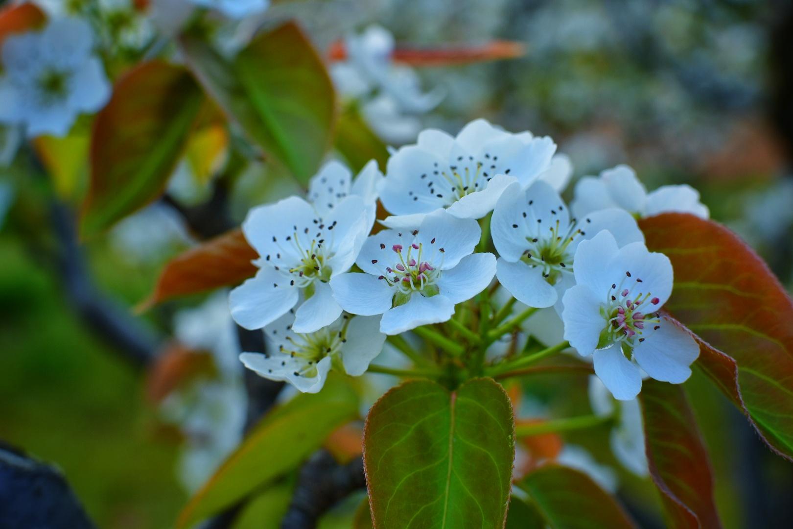 山灵水韵，德才兼备，这座城市的*光春**了不起！