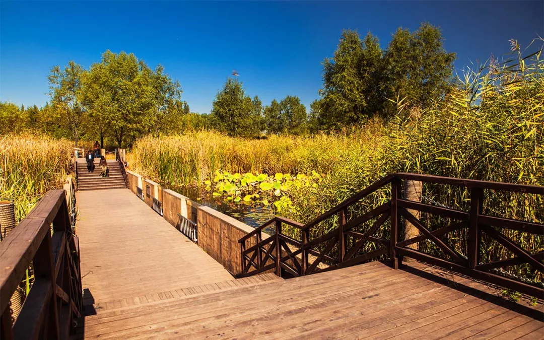 即将扩建南通又一个打卡新地标,南通未来地标效果图