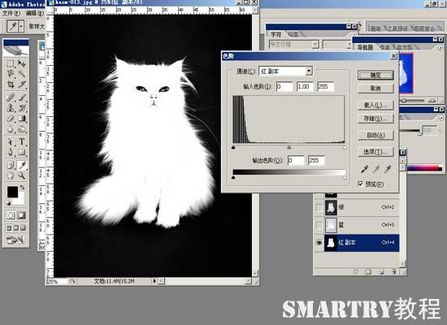抠图抠不干净ps用哪个工具,ps抠图和ai抠图区别