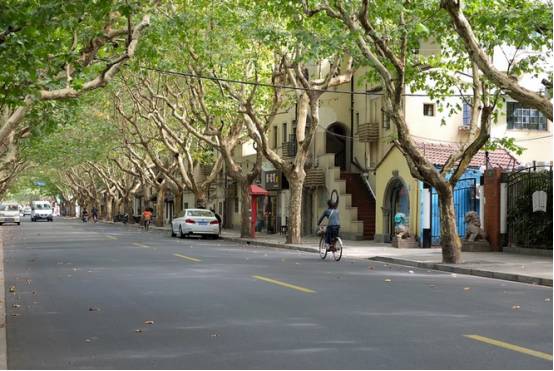 我们斗胆给上海10大网红马路排了个名！第一名竟是……