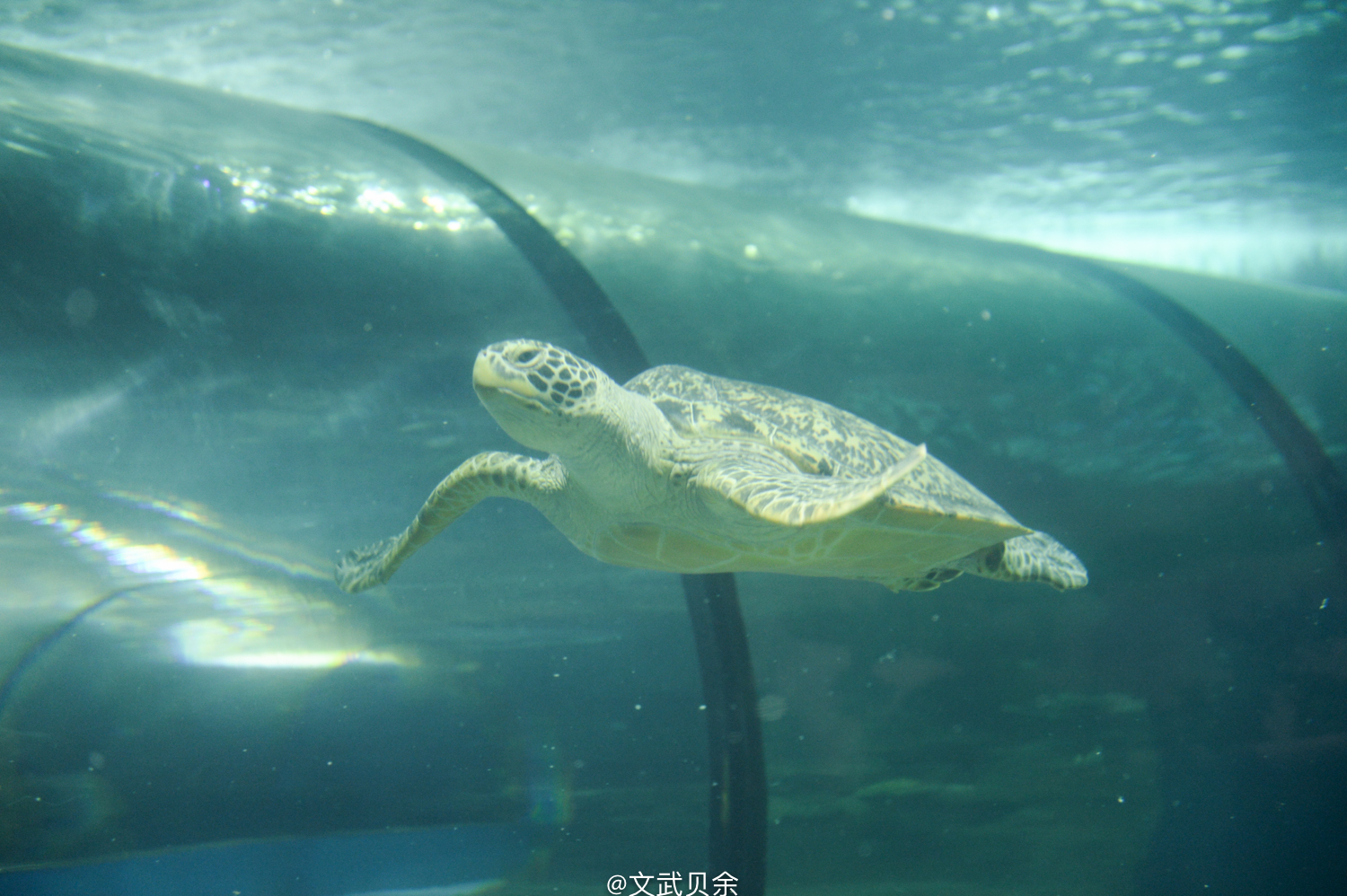 六安九十里山水画廊攻略,六安九十里山水画廊是啥