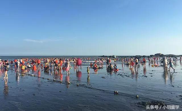 江门台山浪琴湾风景,江门台山浪琴湾旅游攻略