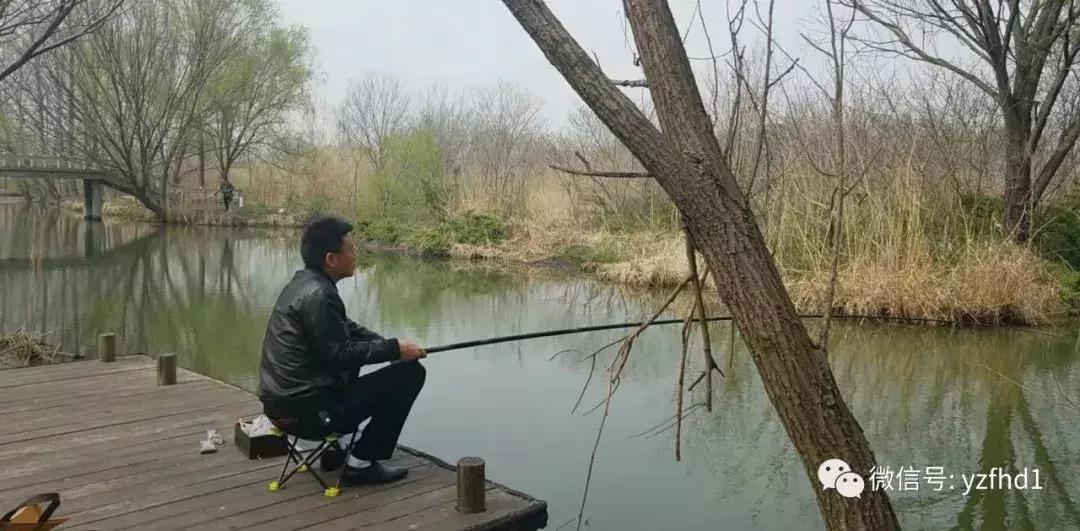 扬州中国风湿地公园,六月的扬州湿地公园