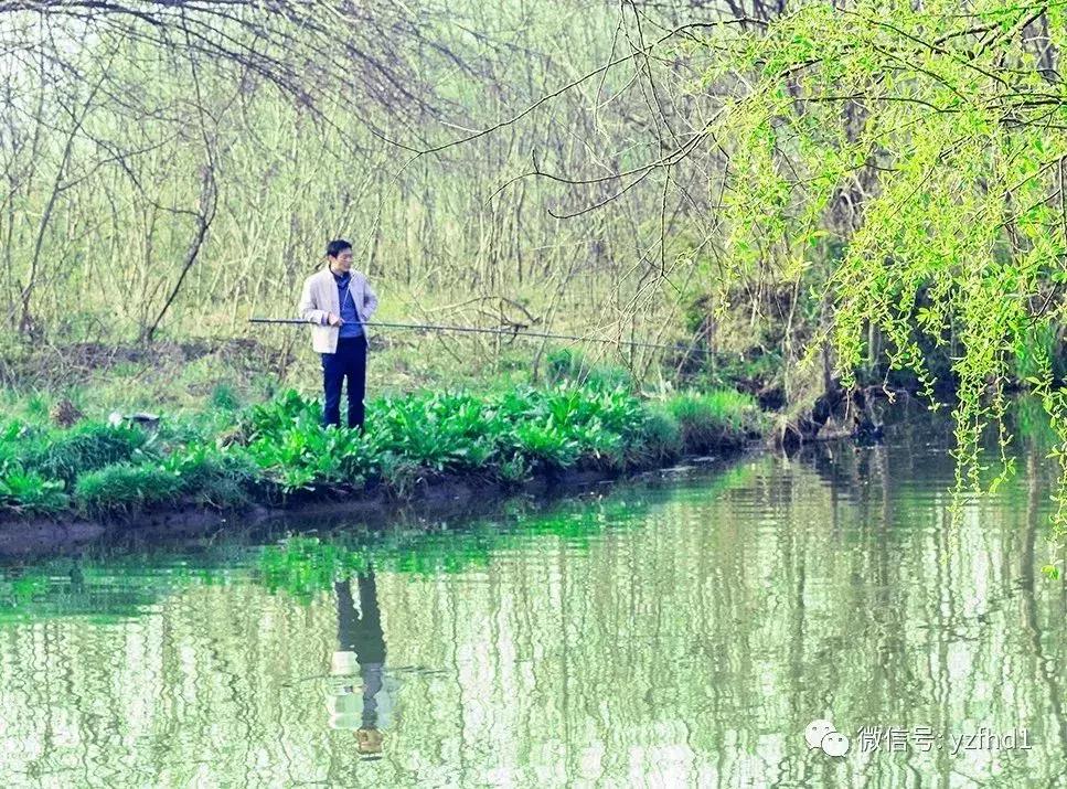 扬州中国风湿地公园,六月的扬州湿地公园