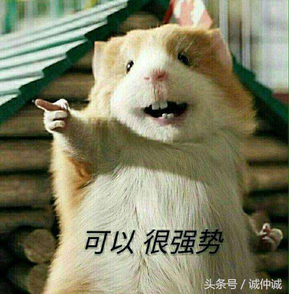 足球和女人你选哪个,足球和女友二选一