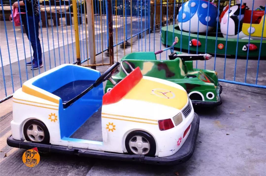 金花茶公园景点,走进金花茶公园